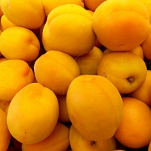 Farmers Market - 8 x 10 frame Print Art Photography peach plum yellow